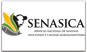 sanasica