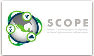 sedagro